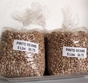 Pinto_Beans